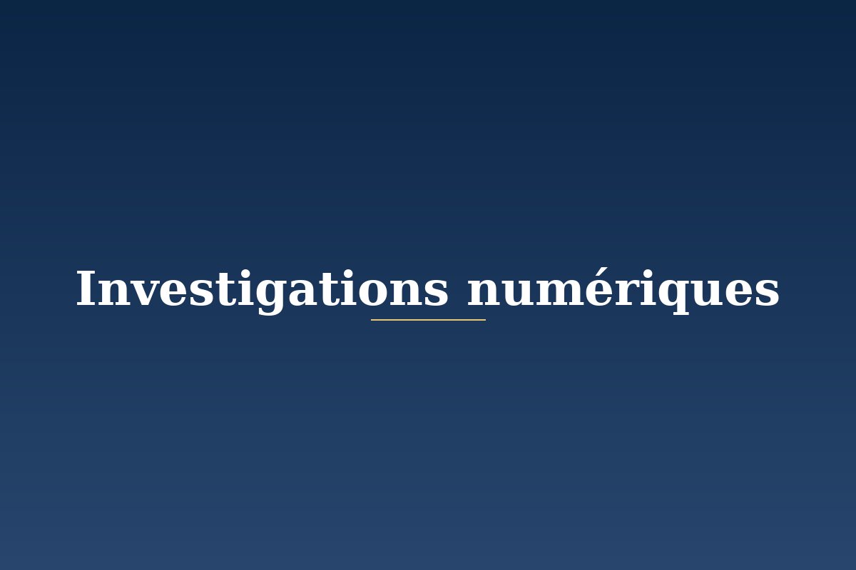 Investigations numériques & e-réputation